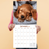 2026 Dog Dreams Wall Calendar