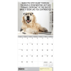 2026 Desk Dogs Wall Calendar