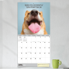 2026 Desk Dogs Wall Calendar