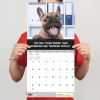 2026 Desk Dogs Wall Calendar