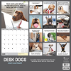 2026 Desk Dogs Wall Calendar