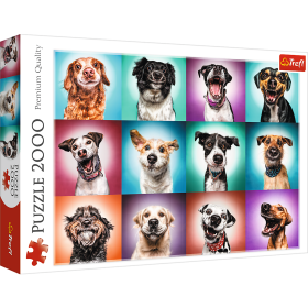 2000 piece Jigsaw Puzzles - Funny dog portraits II, 1000 Piece Jigsaw Puzzle