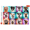 2000 piece Jigsaw Puzzles - Funny dog portraits II, 1000 Piece Jigsaw Puzzle