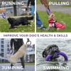Puller Outdoor Dog Ring Toys MINI TWO Rings Dog Fetch Toy Tug of War Dog Toy for Small Medium Large Dogs Dog Ball & Soft Dog Frisbee Alt Outside Dog Y