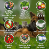 Ear Cleaner Wipes by Arava for Dogs