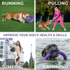 Puller Outdoor Dog Ring Toys MAXI ONE Ring Dog Fetch Toy & Tug of War Dog Toy for Small Medium Large Dogs Dog Ball & Soft Dog Frisbee Alt Outside Dog