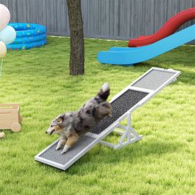Dog Agility Ramp , Pet Seesaw