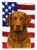 Brown Chesapeake Bay Retriever American Flag Garden Flag Mailbox Flag Decorative Yard Flag Banner Outside Patio Artwork Yard Flower Beds, Garden Size