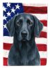 Blue Weimaraner American Flag Garden Flag Mailbox Flag Decorative Yard Flag Banner Outside Patio Artwork Yard Flower Beds, Garden Size, Multicolor