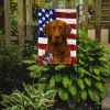 Brown Chesapeake Bay Retriever American Flag Garden Flag Mailbox Flag Decorative Yard Flag Banner Outside Patio Artwork Yard Flower Beds, Garden Size