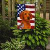 Wirehaired Red Dachshund American Flag Garden Flag Mailbox Flag Decorative Yard Flag Banner Outside Patio Artwork Yard Flower Beds, Garden Size