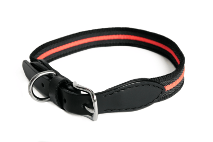 Alvalley Reflective Anti-Slip Dog Collar with Buckle (Size: (16 in x 3/4 in))