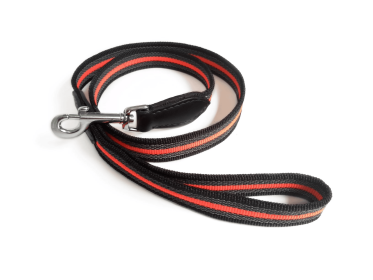 Reflective Anti-Slip Snap Leash (Size: (4ft x 1 in))
