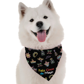 Feliz Cinco de Mayo (Size: 18" X 18")