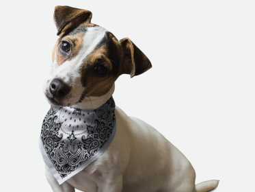 Grey Paisley (Size: 18" X 18")