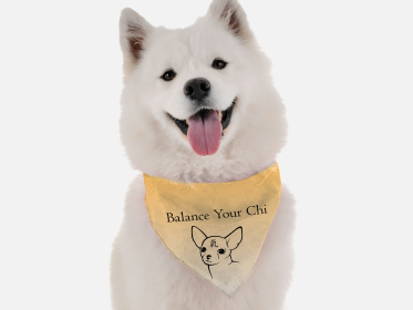 Balance Your Chi (Size: 18" X 18")