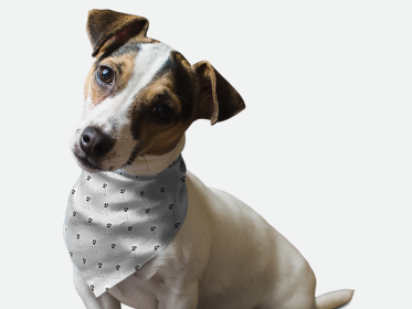 Ghosts Galore! (Size: 18" X 18")