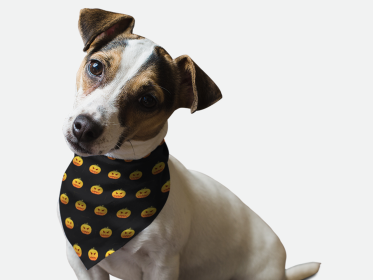 Head Full O' Pumpkin! (Size: 18" X 18")