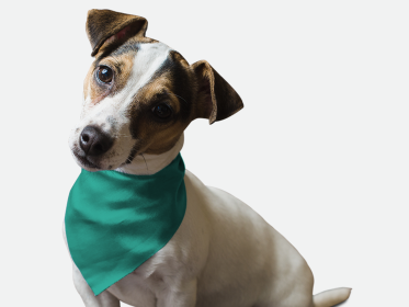 Seriously Sea Foam (Size: 18" X 18")