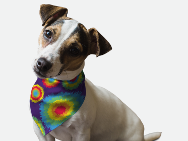 1970's Retro Style (Size: 18" X 18")