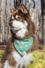 Pine Cone Pup Bandana (Size: S/M - 18in x 10in)