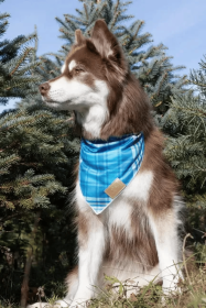 Blue Spruce Plaid Dog Bandana (Size: S/M - 18in x 10in)