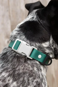 Siberian Spruce Waterproof Dog Collar (size: 21 - 28 inch)