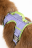 Lavender Garden Ultimate Dog Harness